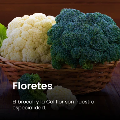 deshitec-productos-home-floretes-img