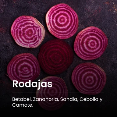 deshitec-productos-home-rodajas-img