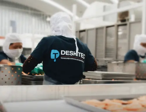 deshitec-transformando-la-industria-alimentaria-somos-eficientes