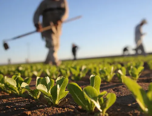 deshitec-transformando-la-industria-alimentaria-somos-naturales